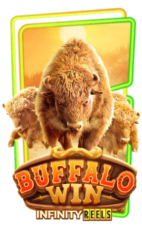 buffalo-win